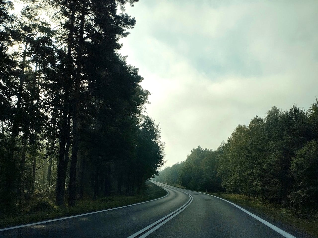 Avaleht A tranquil road through a forest under a misty sky, perfect for travel vibes.